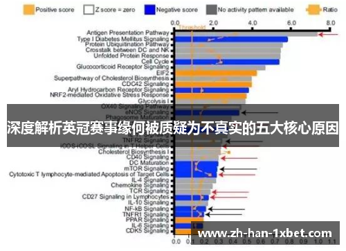 深度解析英冠赛事缘何被质疑为不真实的五大核心原因