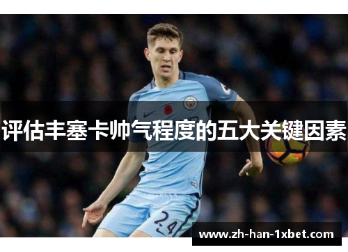 评估丰塞卡帅气程度的五大关键因素